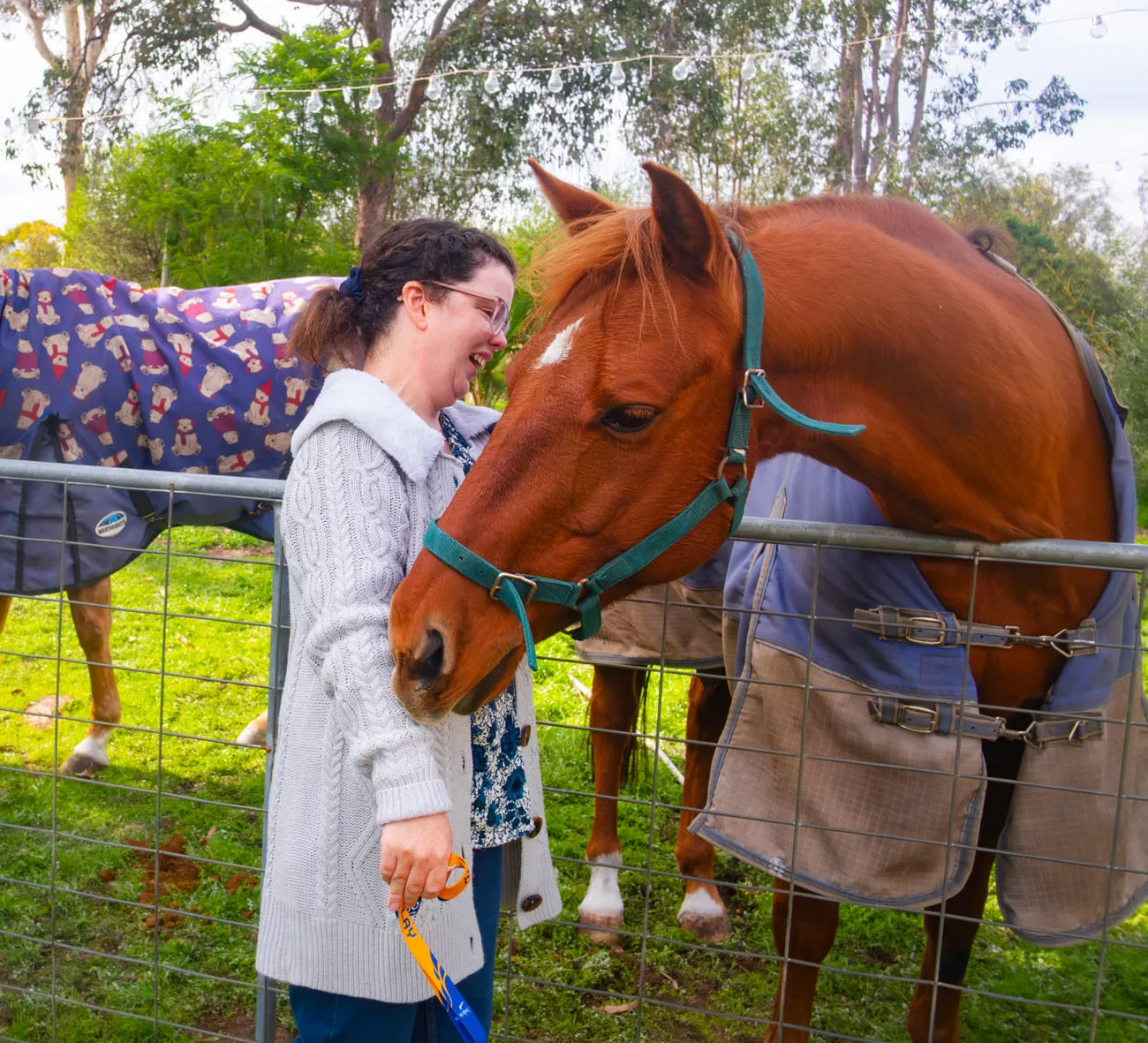 A person smiling while patting a horse (illustrative image)